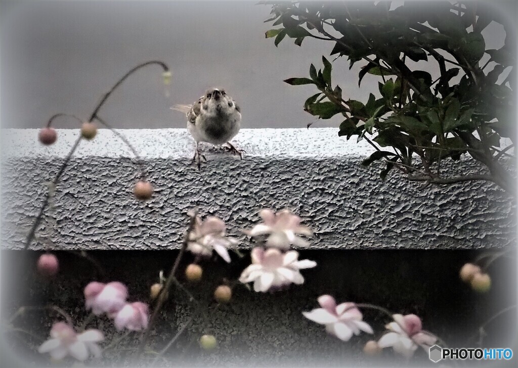 大きくなったね♪