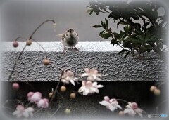 大きくなったね♪