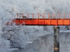 樹氷~キタキツネ