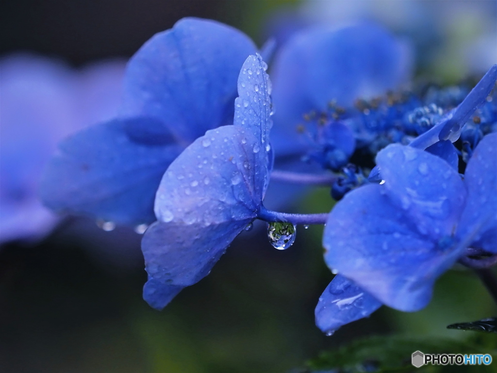 降り止まぬ雨