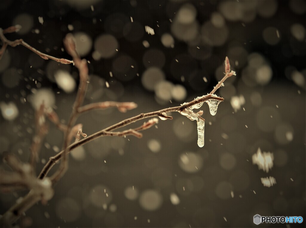 雪が降る♪