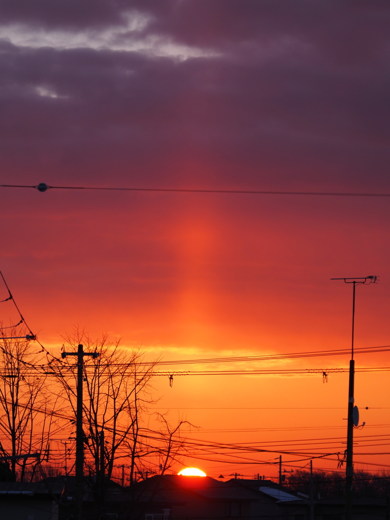 住宅街でｻﾝﾋﾟﾗｰ？