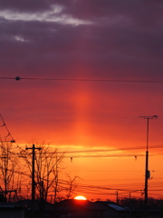 住宅街でｻﾝﾋﾟﾗｰ？