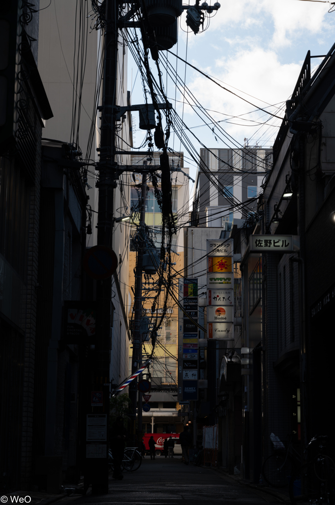 DSC_4779