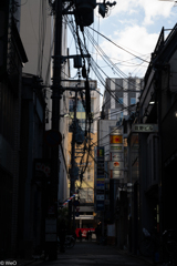 DSC_4779