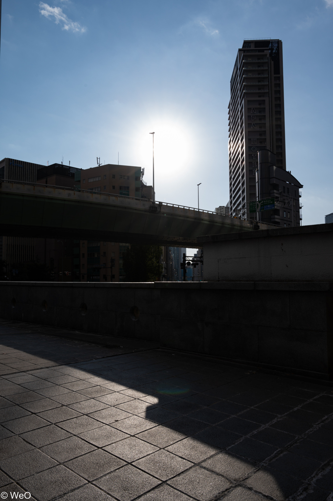 DSC_4726