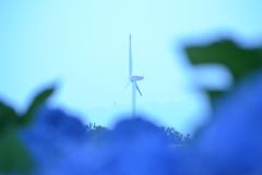 朝