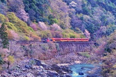 春のトロッコ列車