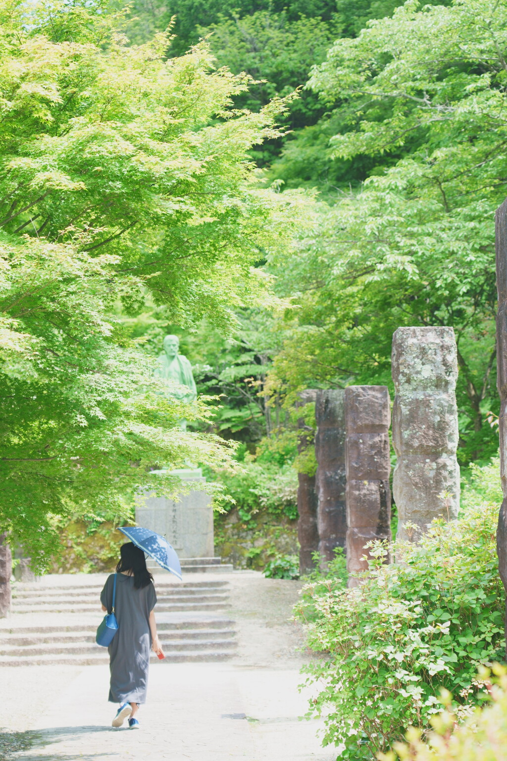 初夏の涼風