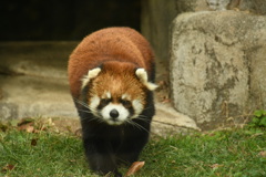 天王寺動物園