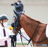 阪神競馬場