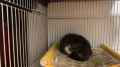 まるっと