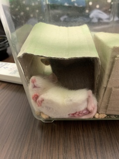 むぎゅ