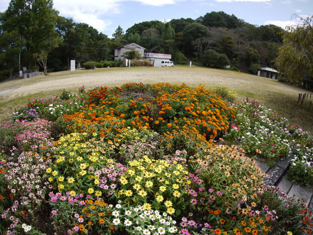静かな大阪府立長野公園
