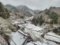 雪化粧