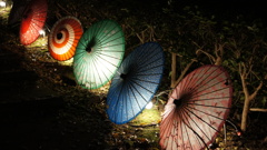 和傘のライトアップ
