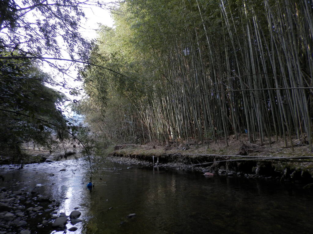 水のある風景