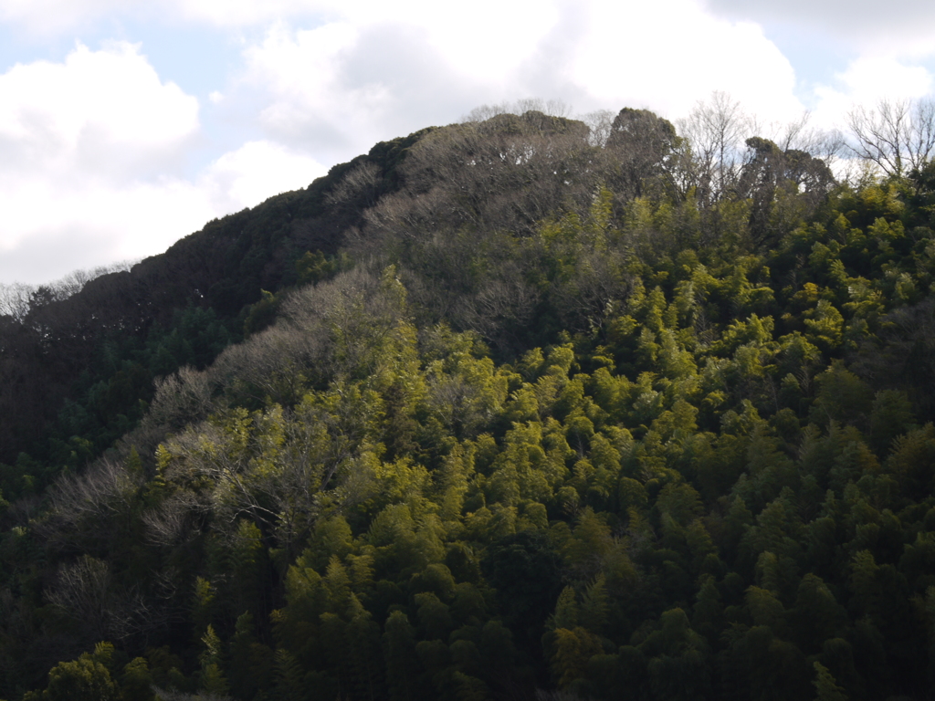 オールドレンズの試写