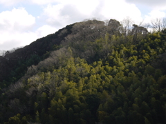 オールドレンズの試写