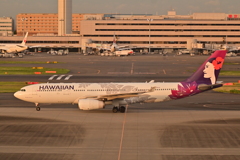 憧れのHAWAIIAN