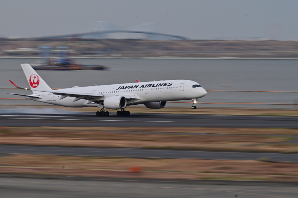 A350　JAL　３