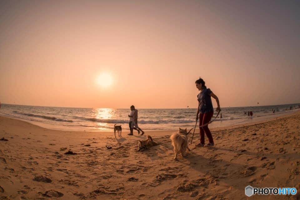 アラビア海の夕暮れ