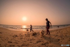 アラビア海の夕暮れ