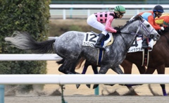 中京競馬場