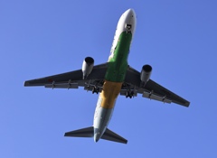 AIR DO