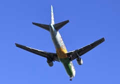 AIR DO