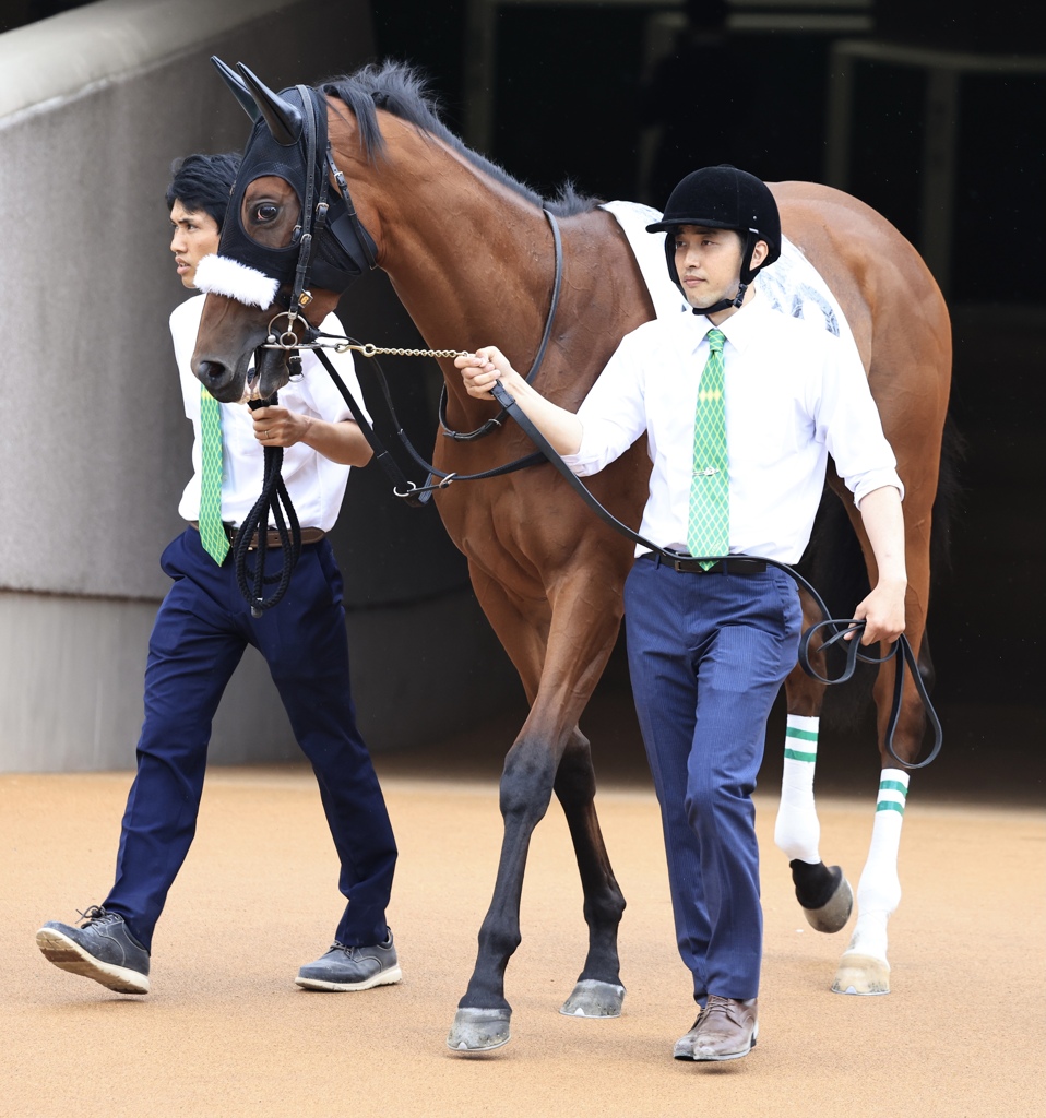 日本ダービー　紅一点