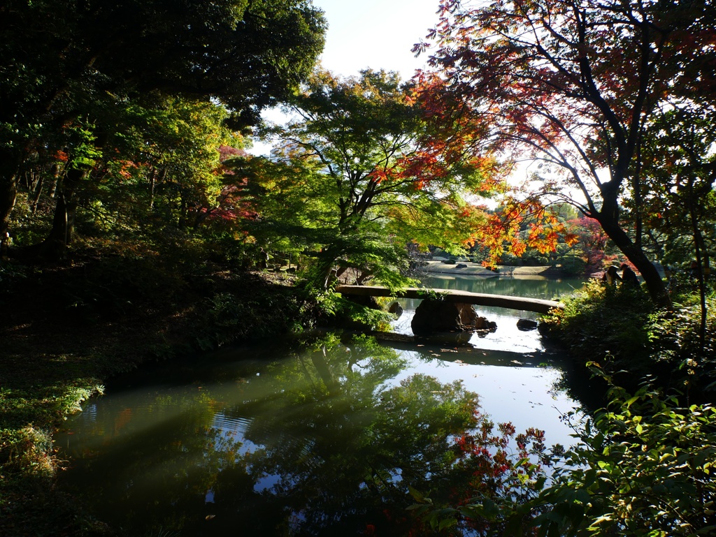 六義園の秋