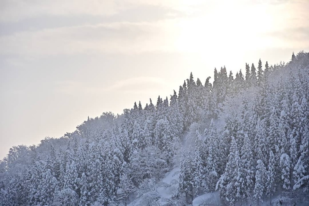 IMG_20210111_124243_309