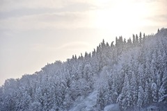 IMG_20210111_124243_309