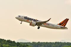 tigerair～めざせ！桃園～
