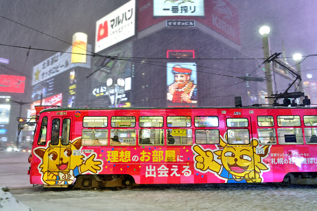 冬の出会える系電車♪