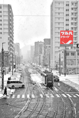 網の中の者達