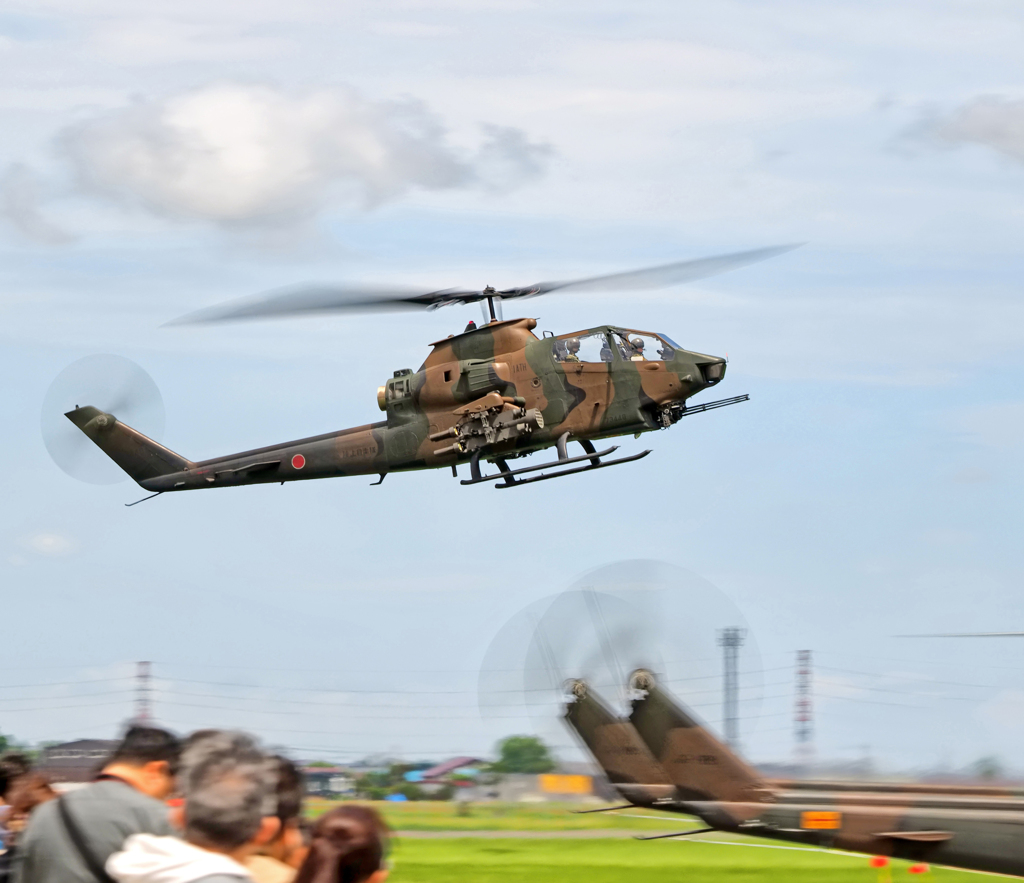 コブラ流し～♪