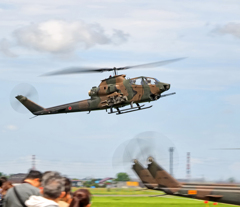 コブラ流し～♪