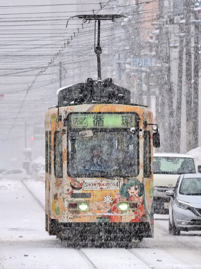 雪の降る街を♪