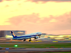 ANA～夕空に駆ける～