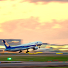 ANA～夕空に駆ける～