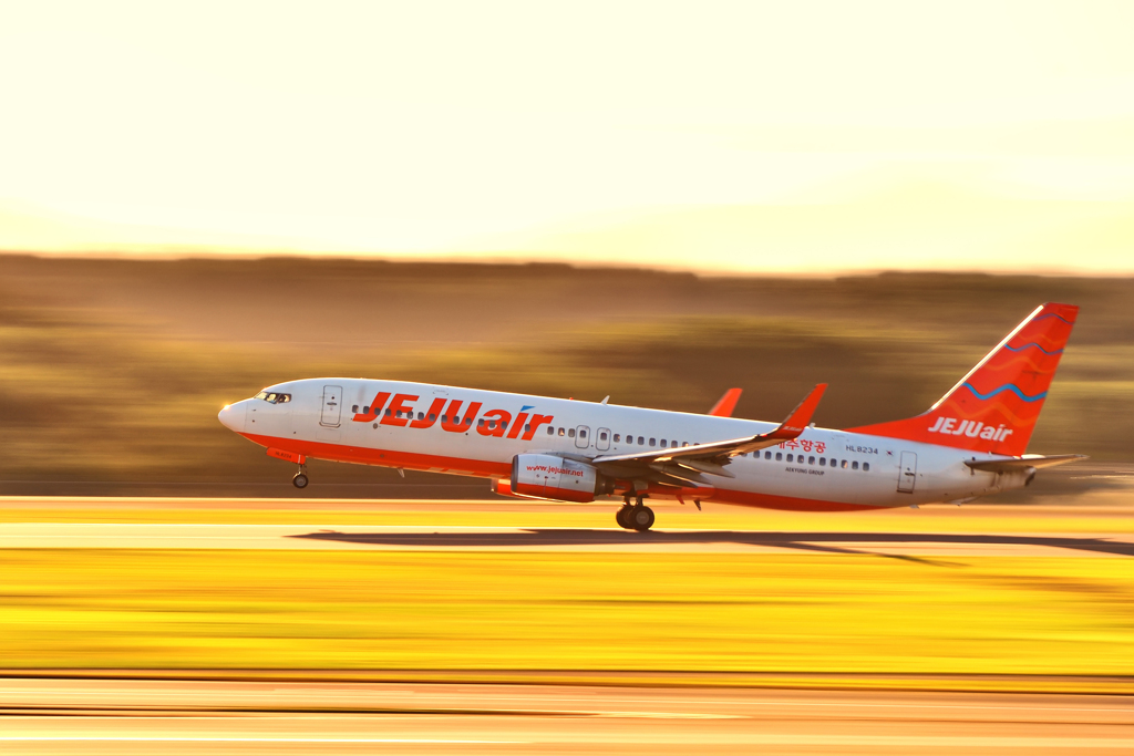 JEJU air~金色（こんじき）の旅立ち～