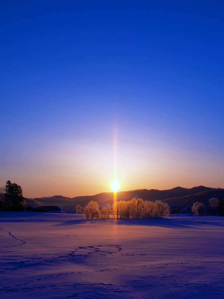 Morning light