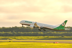 EVA AIR～西日の中を↑～