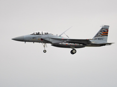  Pacific Skis 2024～F-15DJスペマ～
