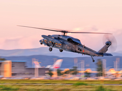 ロクマル帰還！