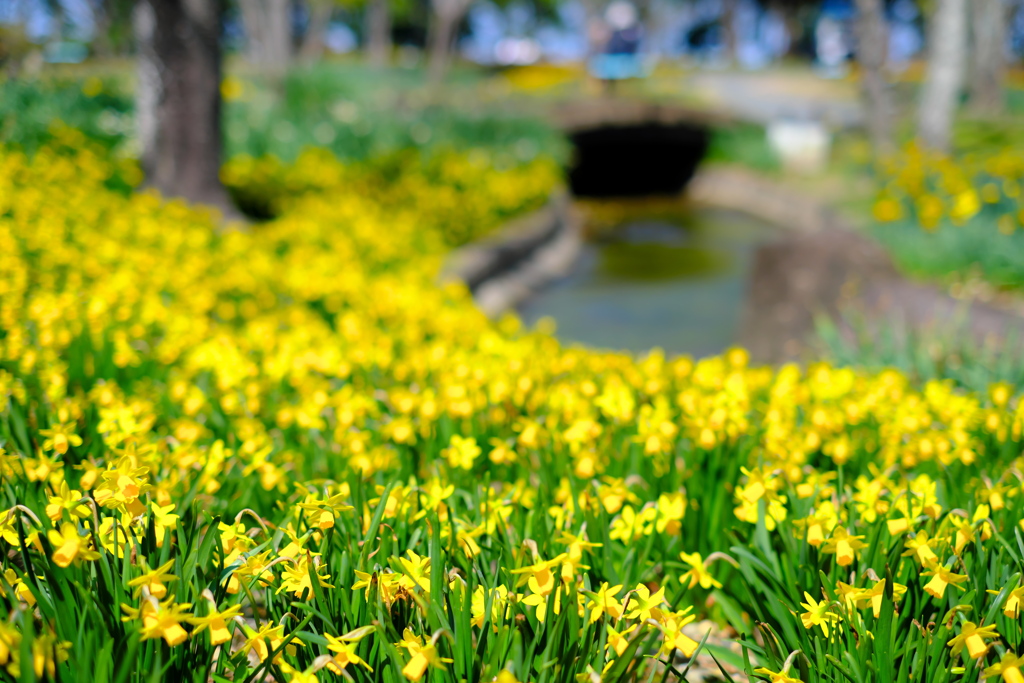 木曽三川公園 3