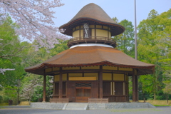 桜と俳聖殿 1