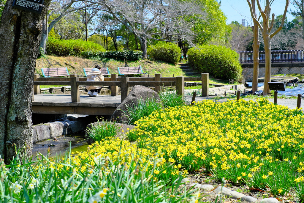 木曽三川公園 2